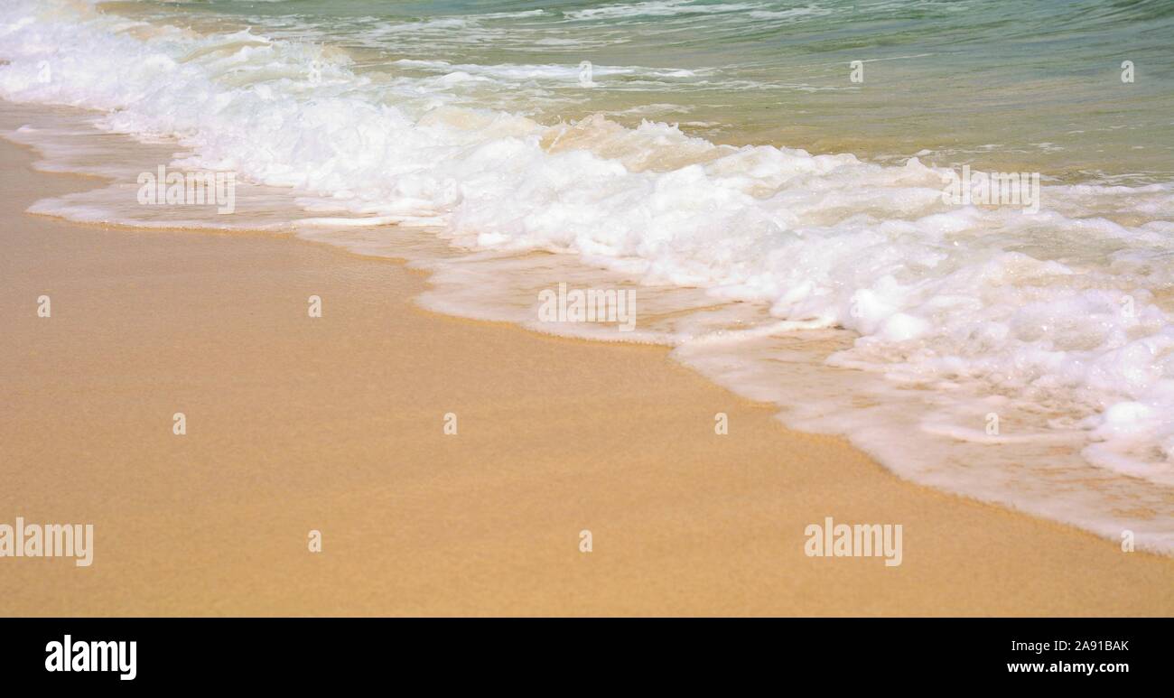 Libre d'une plage de sable d'or avec de l'eau de l'océan turquoise avec des vagues. Banque D'Images