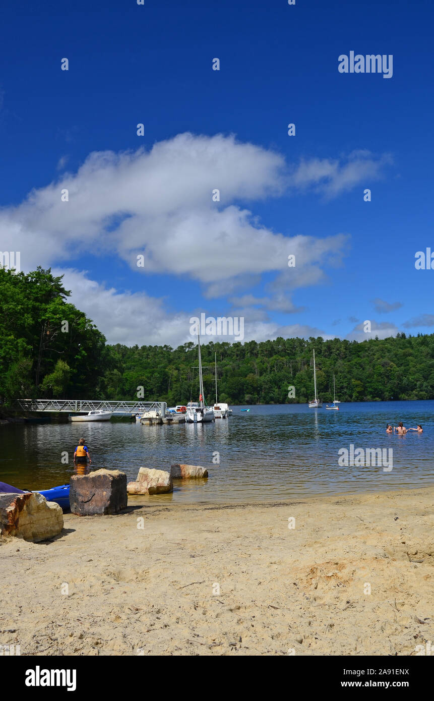 Plage au bord du lac, l'anse de Sordan, lac de Guerlédan, Bretagne, France Banque D'Images