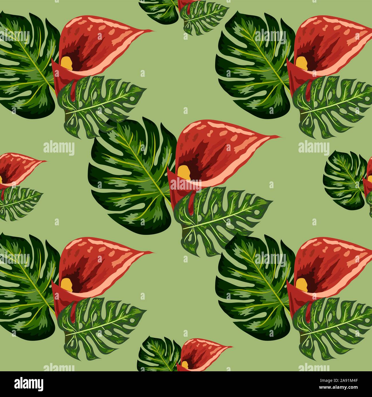 Modèle transparent avec les feuilles et fleurs de lys callas. Le feuillage de la jungle. Illustration de Vecteur