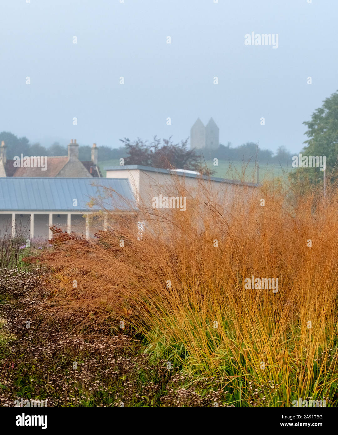 Superbe jardin de Hauser & Wirth Gallery nommé le champ à Durslade Oudolf, ferme, Somerset UK. Conçu par l'artiste Piet Oudolf. Banque D'Images