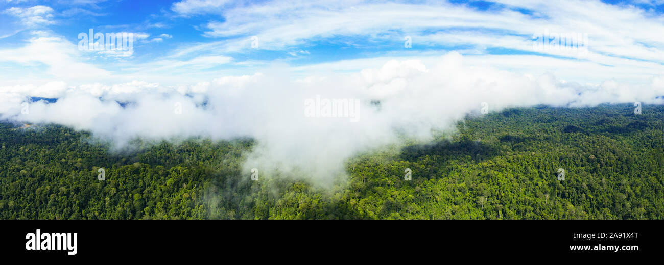 Vue de dessus, une superbe vue panoramique du parc national de Taman Negara avec la forêt tropicale et de beaux nuages doux. Banque D'Images