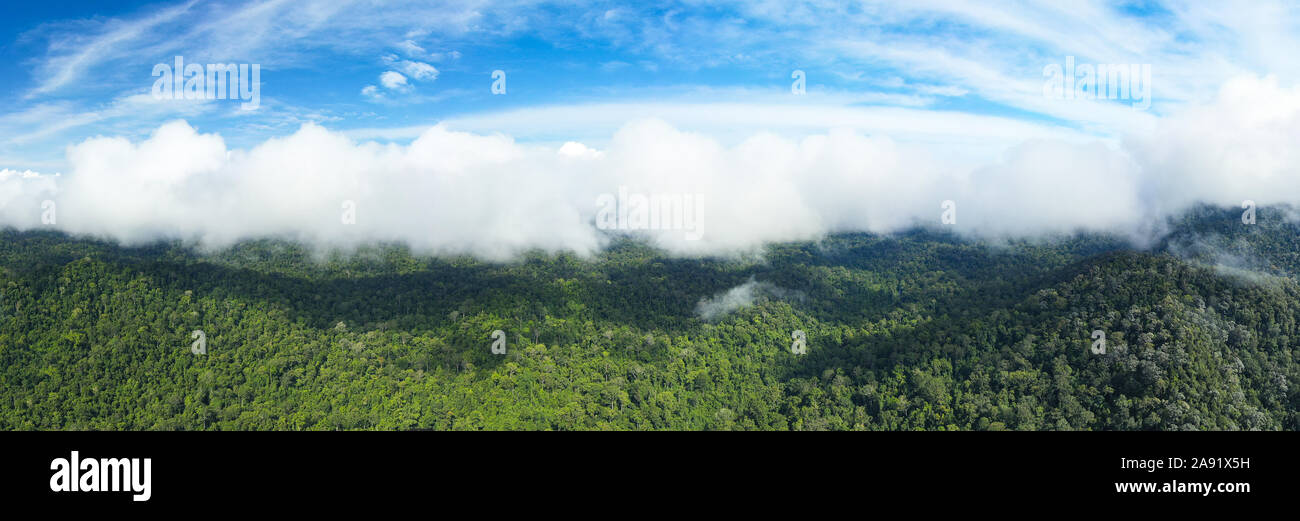 Vue de dessus, une superbe vue panoramique du parc national de Taman Negara avec la forêt tropicale et de beaux nuages doux. Banque D'Images