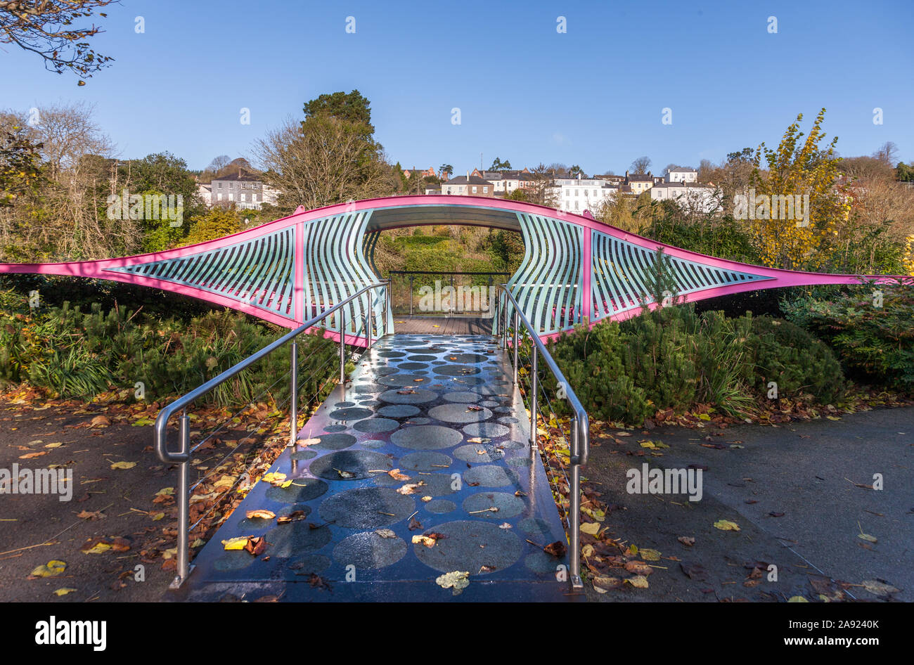 La ville de Cork, Cork, Irlande. 12 novembre, 2019. Le Sky Garden, qui a été conçu par Dermot Gavin et a remporté une médaille d'or au prestigieux Chelsea Flower Sh Banque D'Images