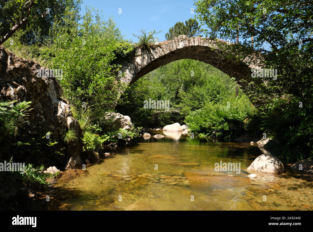 Pont génois de Zipitoli / les Génois pont voûté de Zipitoli sur la rivière d'Ese près de Bastelica, Corse du Sud, Corse, France. Banque D'Images