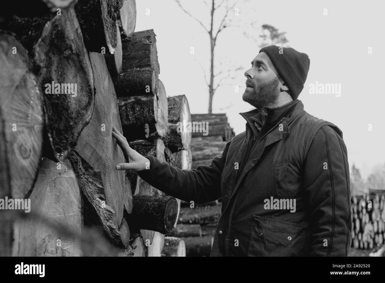 Homme debout en face de pile de grumes Banque D'Images