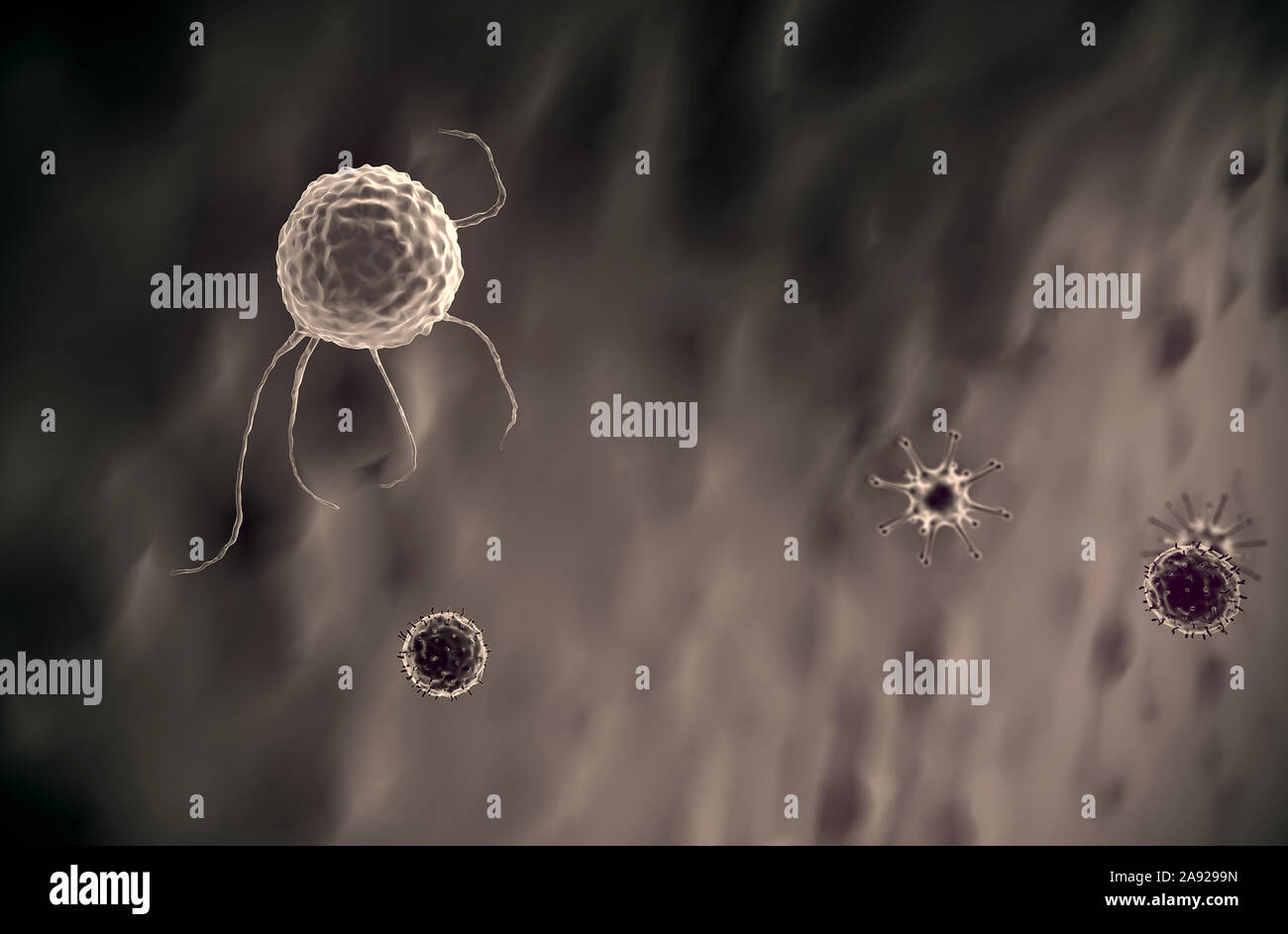 Macrophage tue l'virus, des macrophages en rendu 3D et de virus, à l'intérieur de corps humain, arrière-plan vidéo médicale, les virus dans le corps humain Banque D'Images