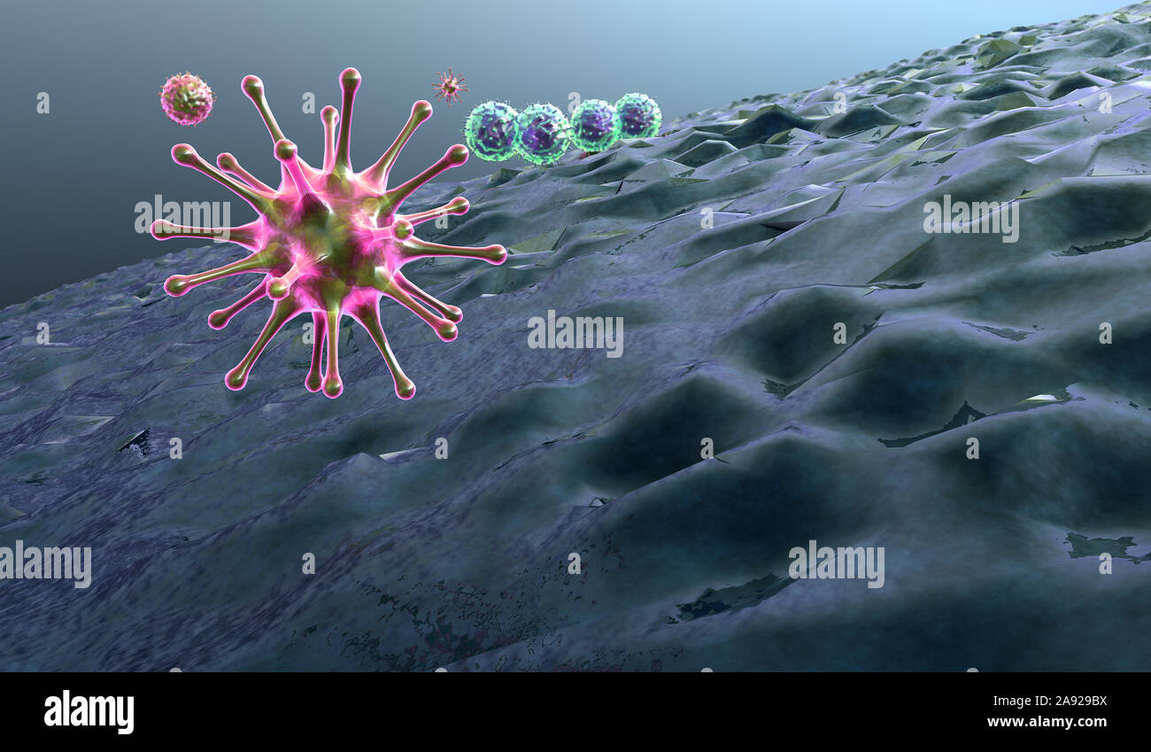 Macrophage tue l'virus, des macrophages en rendu 3D et de virus, à l'intérieur de corps humain, arrière-plan vidéo médicale, les virus dans le corps humain Banque D'Images