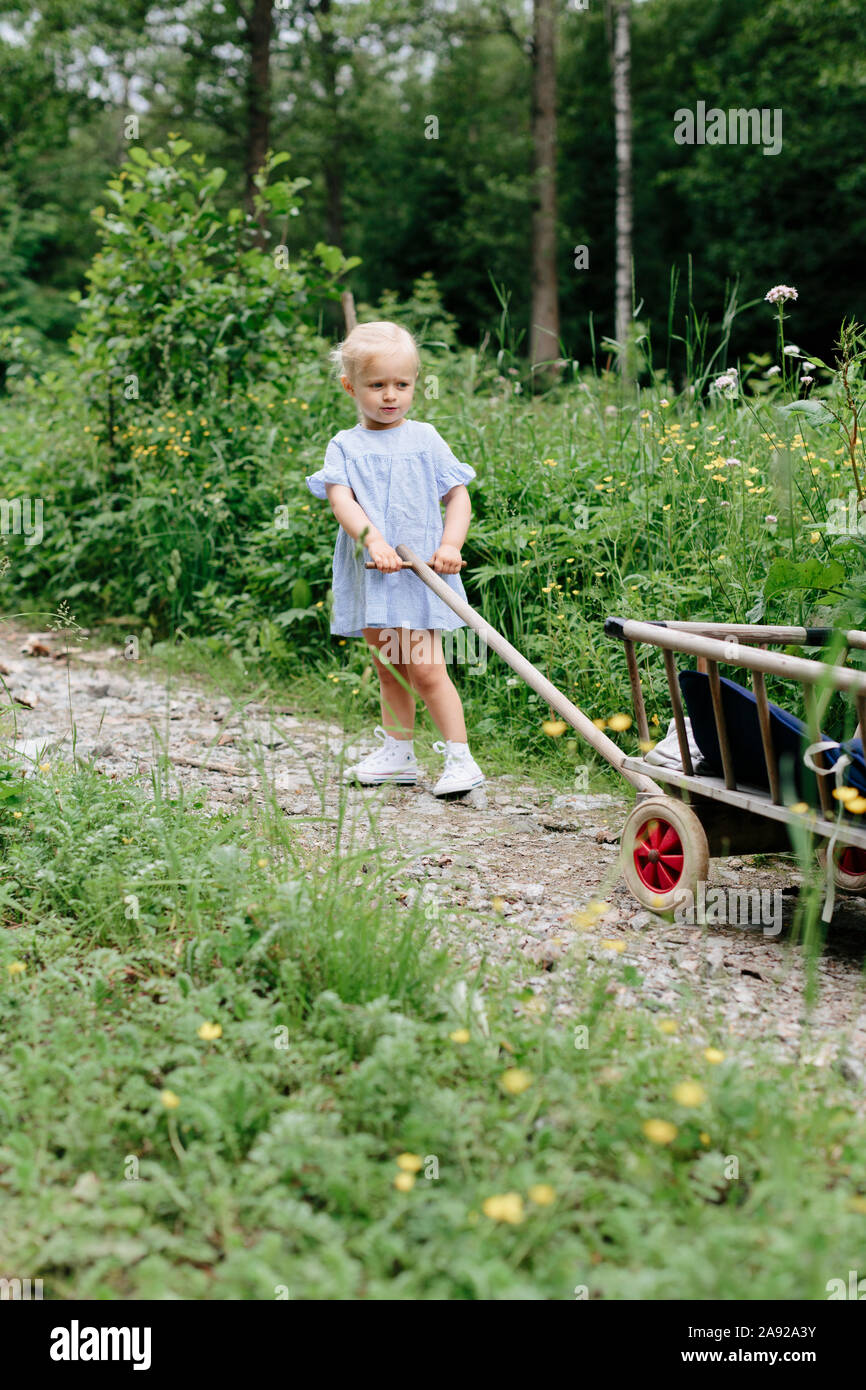 Girl pulling panier Banque D'Images
