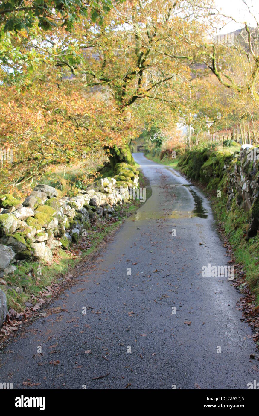 Le Nord du Pays de Galles, de Beddgelert. United Kingdom Banque D'Images