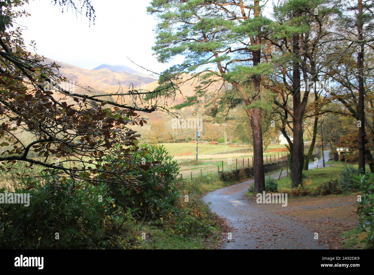 Le Nord du Pays de Galles, de Beddgelert. United Kingdom Banque D'Images