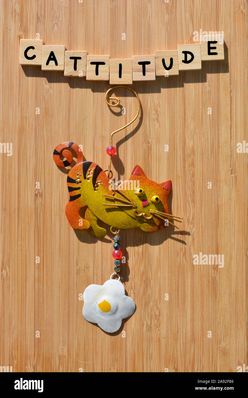Cattitude, mot en lettres de l'alphabet en bois faits à la main, avec un chat en métal peinte à la main d'un ornement sur fond de bois de bambou Banque D'Images
