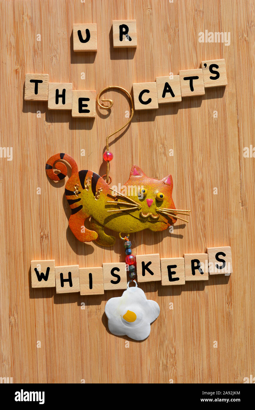 U R Les moustaches du chat, mots en 3d lettres alphabet en bois faits à la main avec un chat en métal peinte à la main, sur un ornement fond bois de bambou Banque D'Images