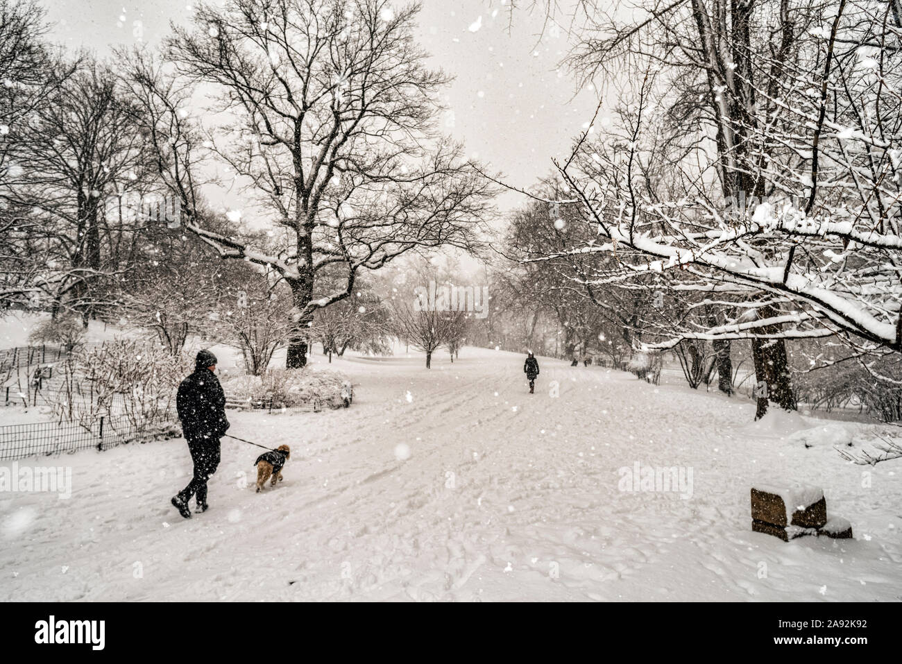 Des piétons et un chien marchent sur le sentier couvert de neige lors d'une chute de neige dans Central Park; New York City, New York, États-Unis d'Amérique Banque D'Images