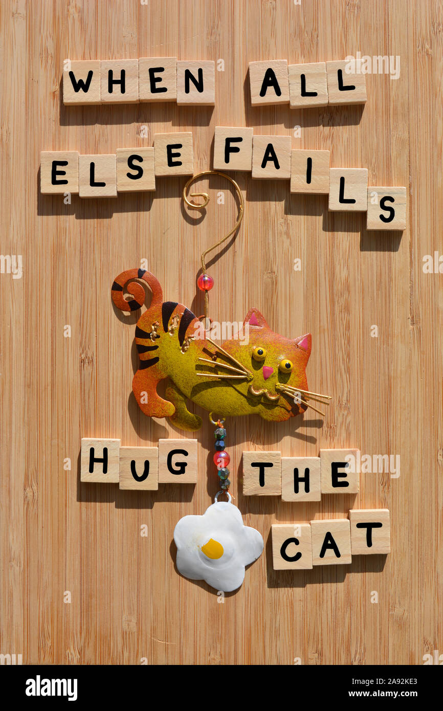 Quand tout le reste échoue Hug le chat, mots en lettres de l'alphabet en bois faits à la main, avec un chat en métal peinte à la main d'un ornement sur fond de bois de bambou Banque D'Images