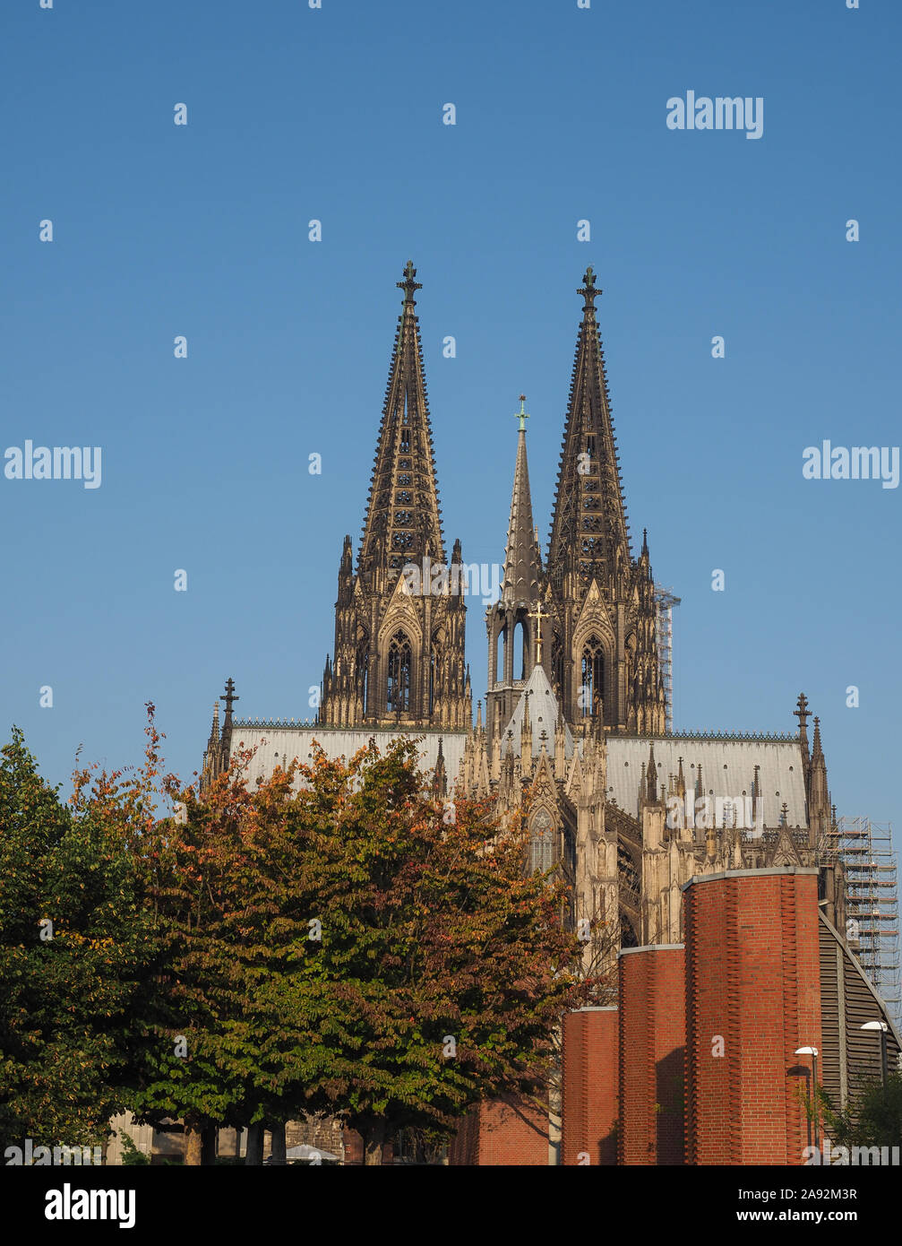 Koelner Hohe Domkirche Sankt Petrus Dom (Cathédrale St Pierre sens) église gothique à Koeln, Allemagne Banque D'Images