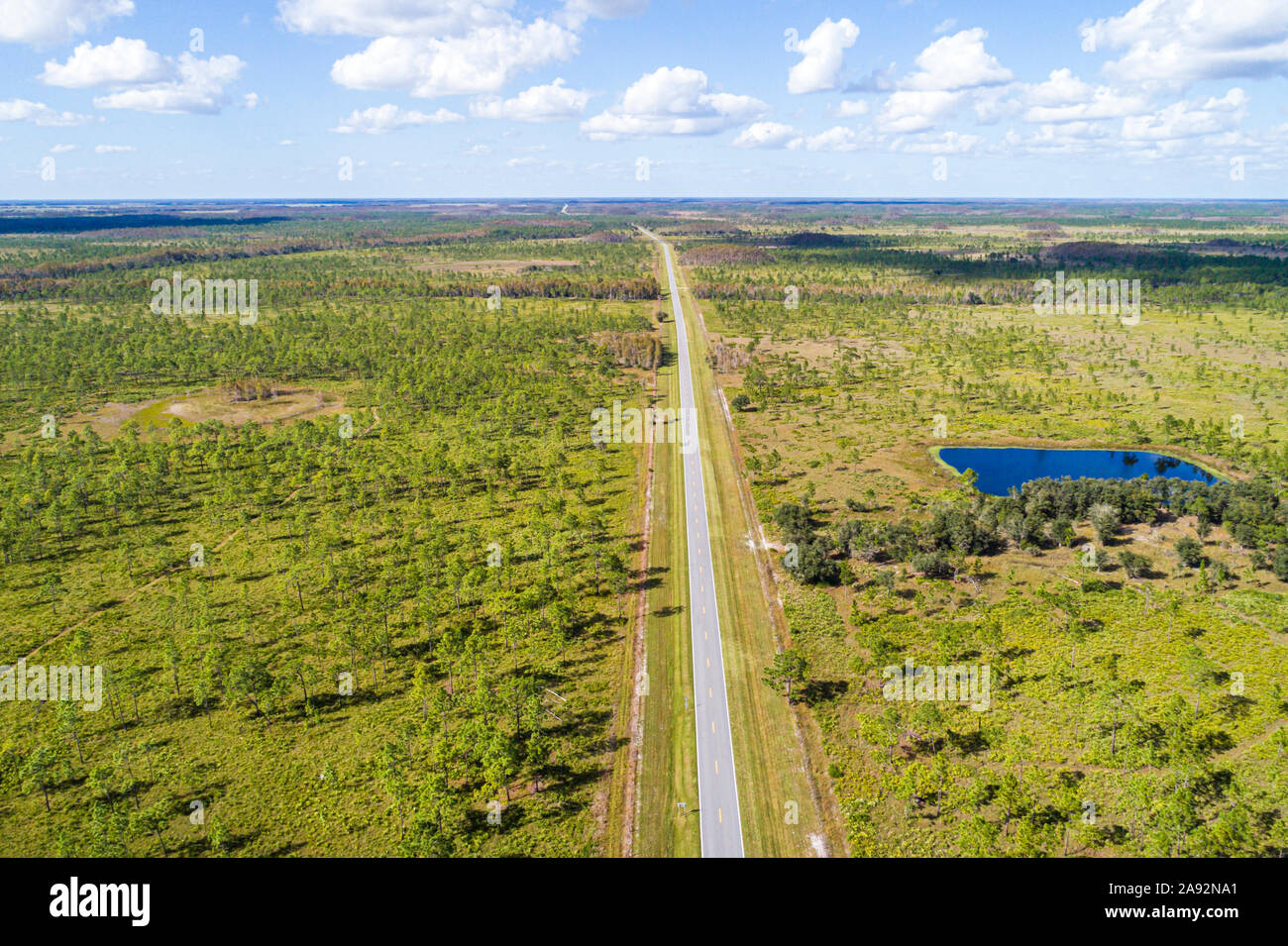 Floride,zone de gestion de la faune des trois lacs WMA,refuge nature conservation de l'habitat naturel,pins des prairies à bois plat,North Canoe Creek Roa Banque D'Images