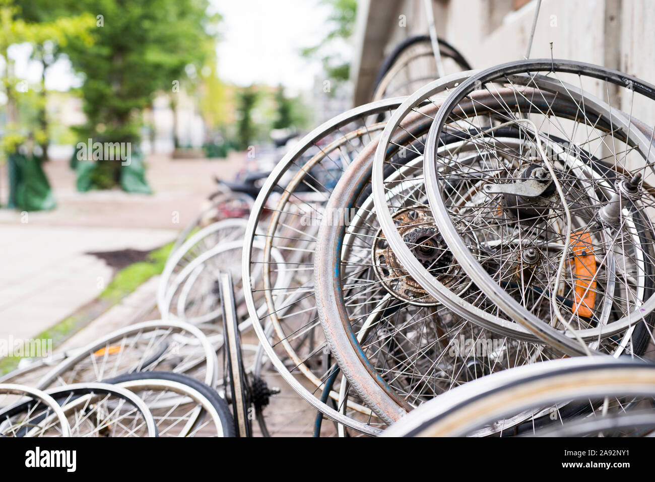 Roues de vélo Banque D'Images