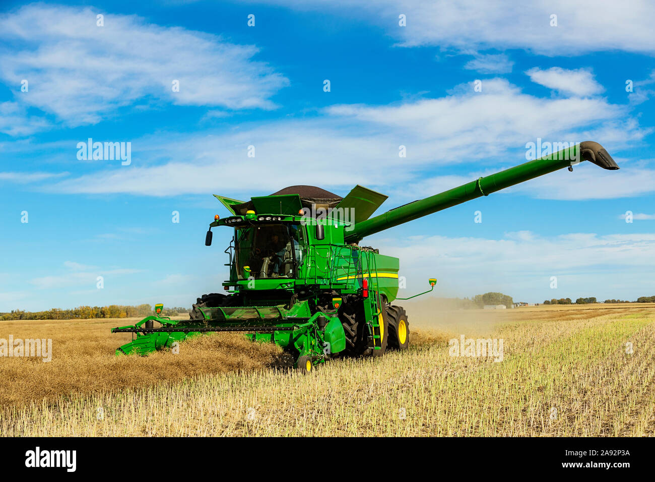 Un agriculteur conduisant une moissonneuse-batteuse avec une pleine charge prête à être transférée avec le bras de la vis de vidange déployé pendant une récolte de canola; Legal, Alberta, Canada Banque D'Images