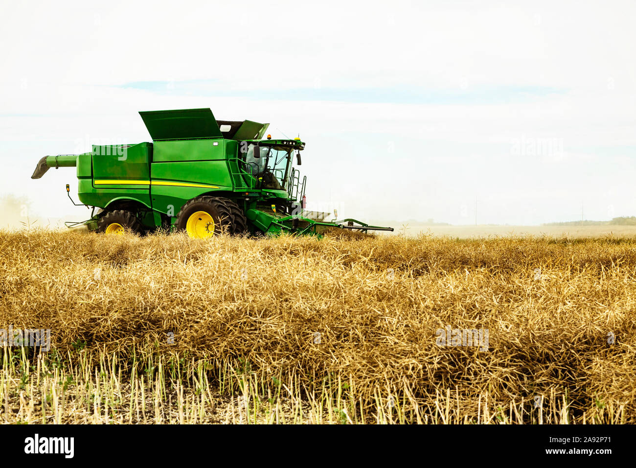 Vue latérale d'un agriculteur conduisant une moissonneuse-batteuse pendant une récolte de canola; Legal, Alberta, Canada Banque D'Images