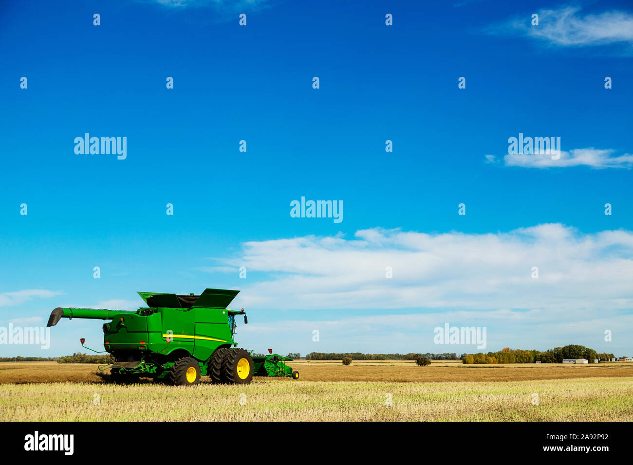 Vue latérale d'une moissonneuse-batteuse pendant une récolte de canola; Legal, Alberta, Canada Banque D'Images