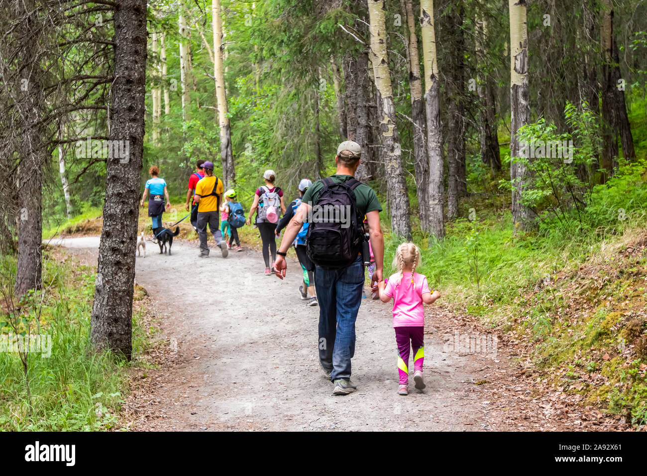 Les randonneurs marchent sur le sentier jusqu'aux chutes de la rivière russe sur la péninsule de Kenai, au centre-sud de l'Alaska; Alaska, États-Unis d'Amérique Banque D'Images