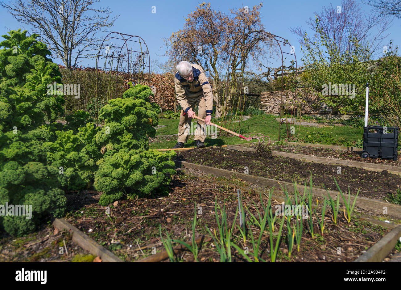 Homme de jardinage Banque D'Images