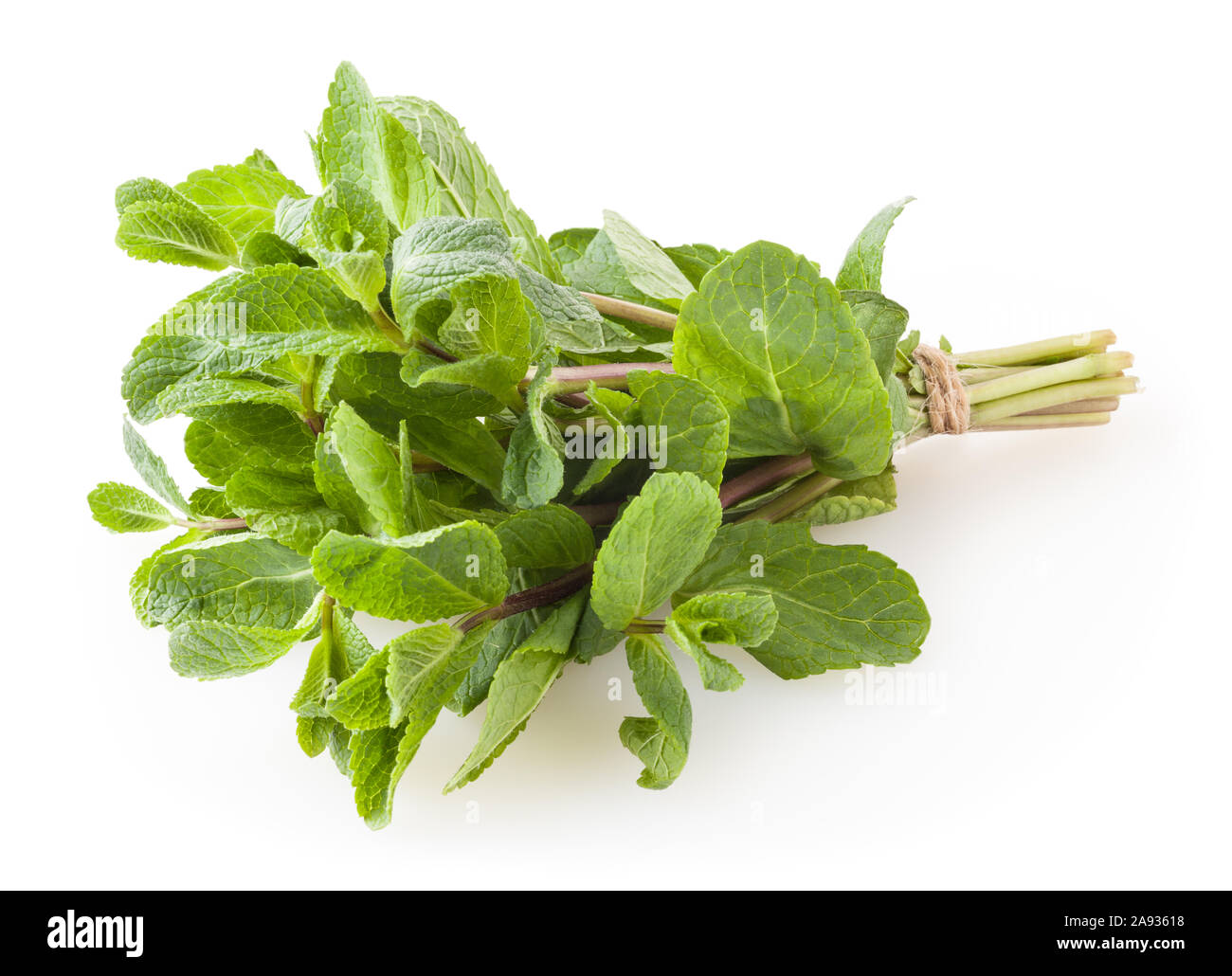 Feuilles de menthe douce frais isolé sur fond blanc Banque D'Images