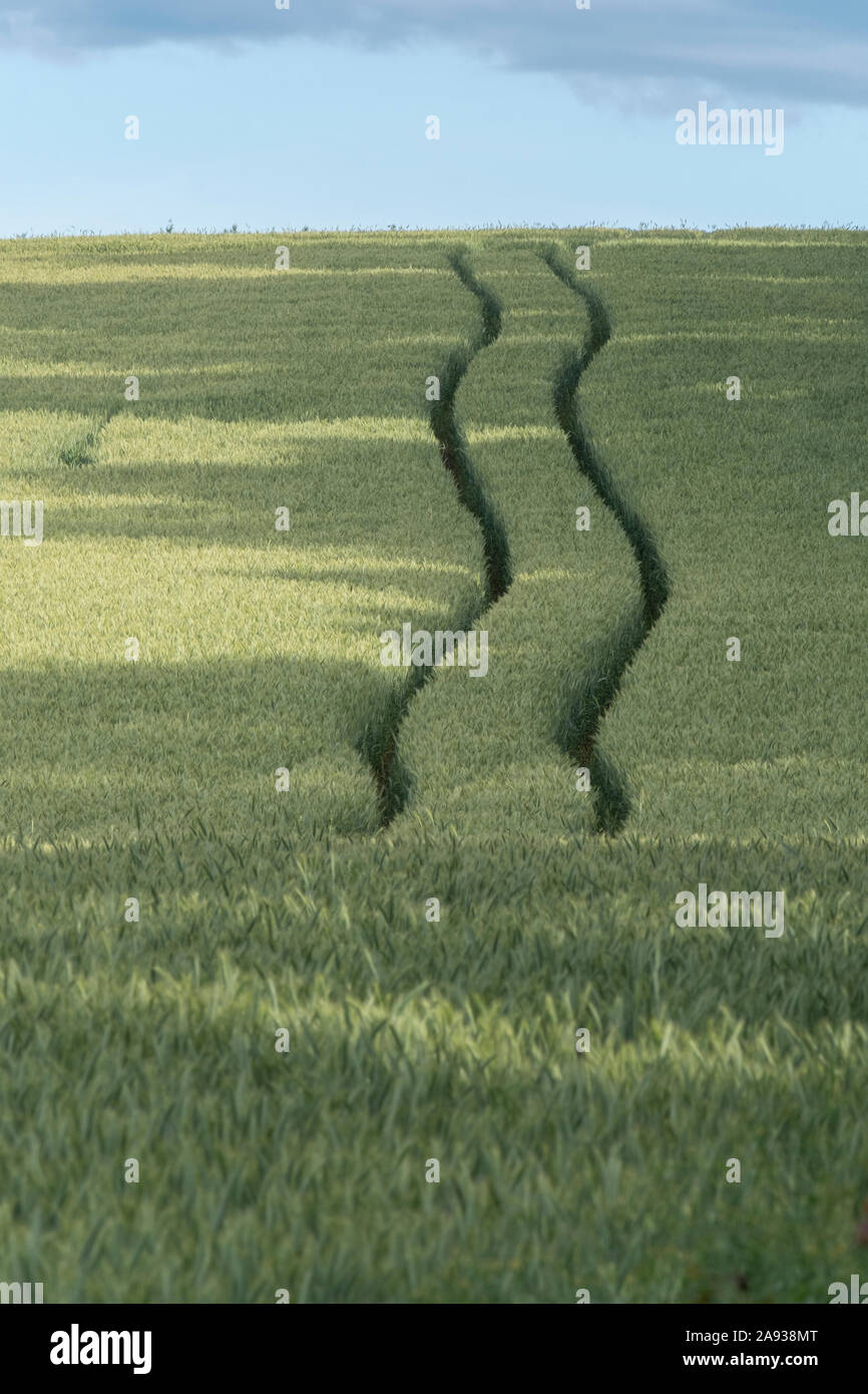 Les traces de pneus sur terrain Banque D'Images