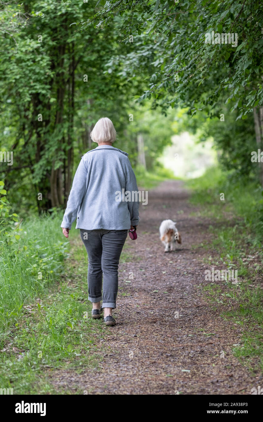 Woman walking dog Banque D'Images