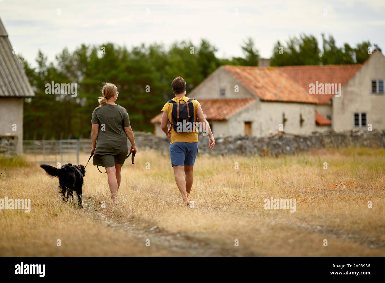 Couple avec dog walking Banque D'Images