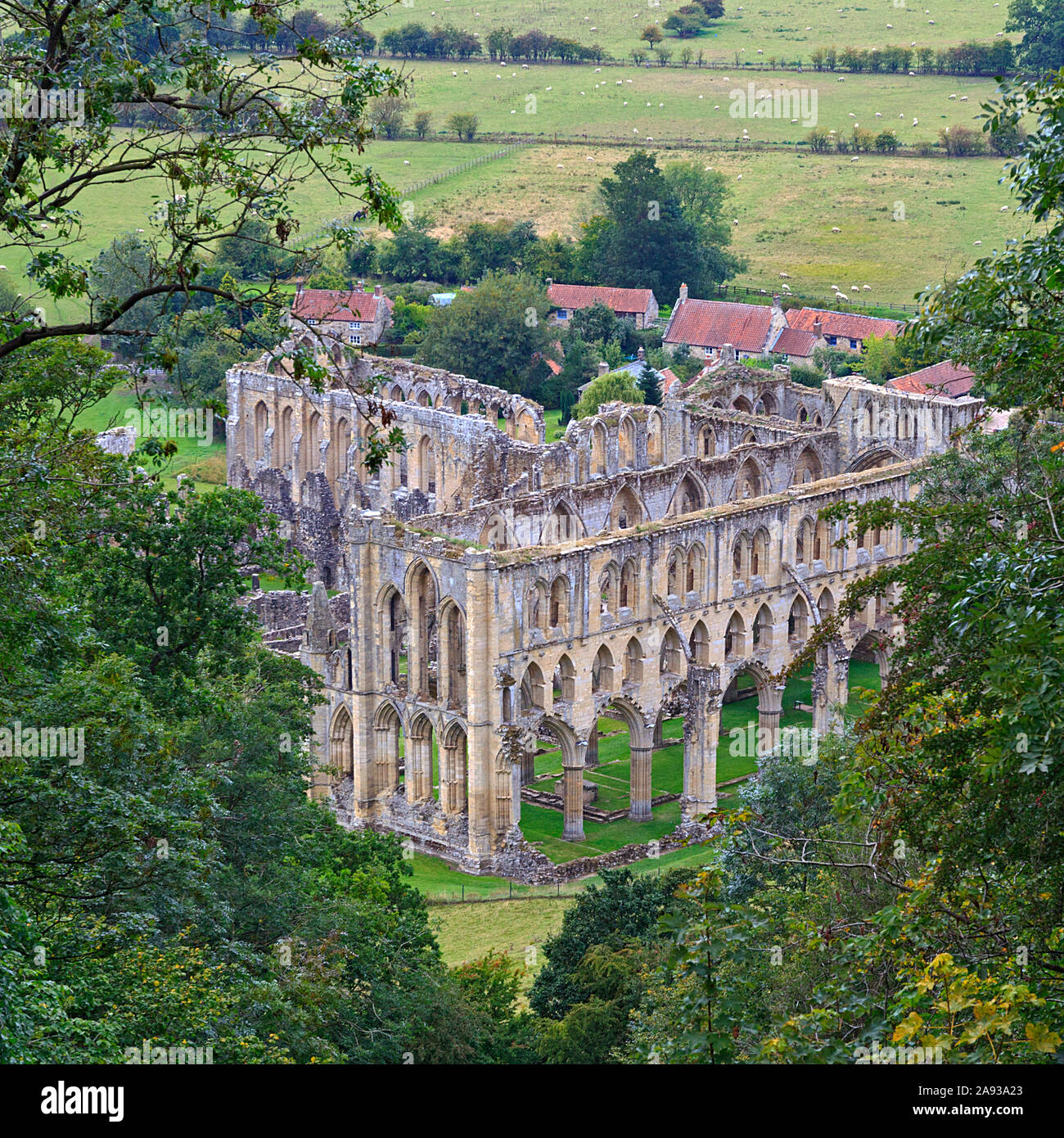 L'abbaye de Rievaulx vu de Rievaulx Terrace, Ryedale, North Yorkshire Moors, UK Banque D'Images