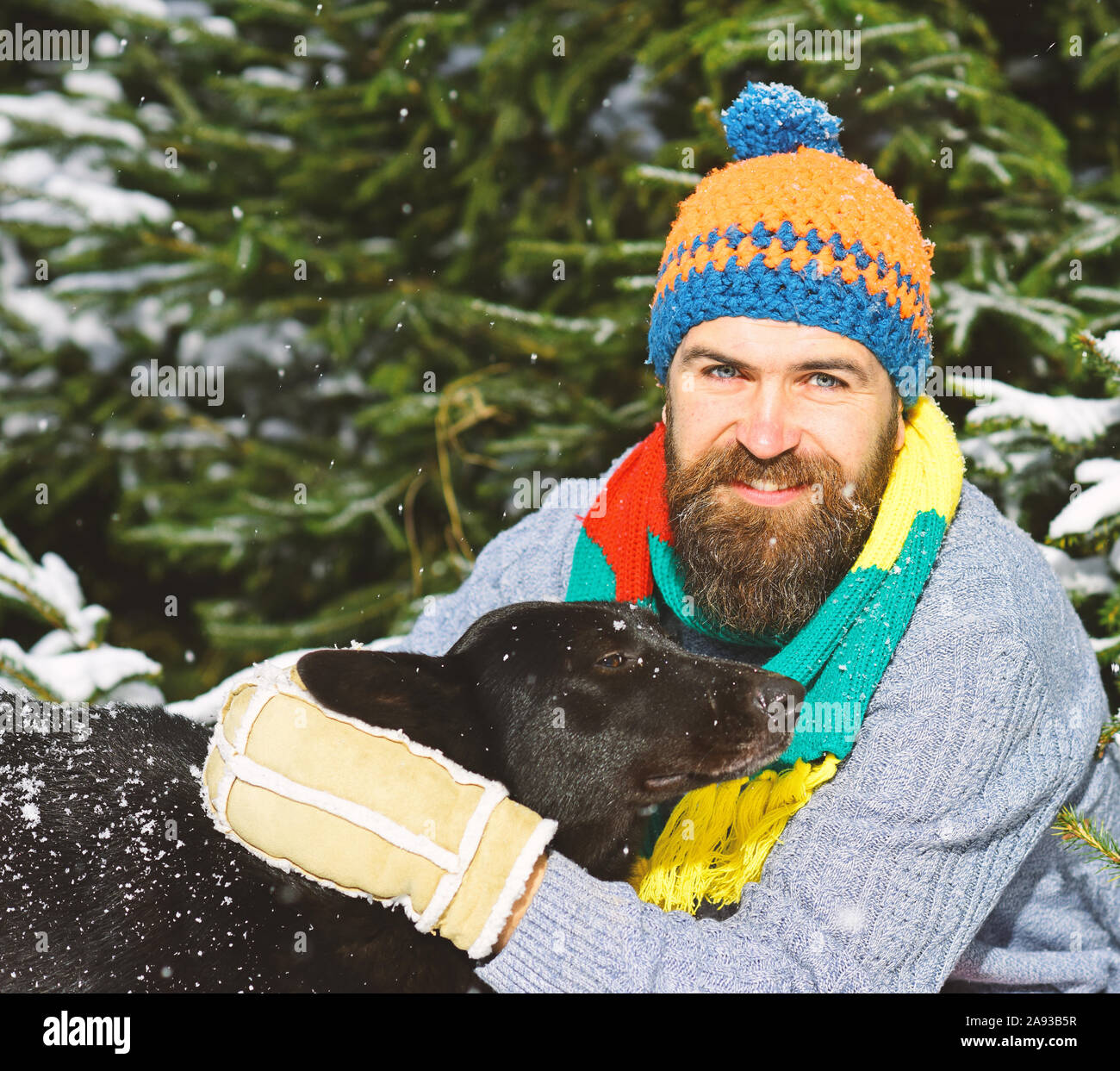 Barbe Macho avec hugs chien, Close up. Homme porte en écharpe hatand avec  chien noir. Guy avec visage souriant avec firtrees couverte de neige sur  backgroun Photo Stock - Alamy