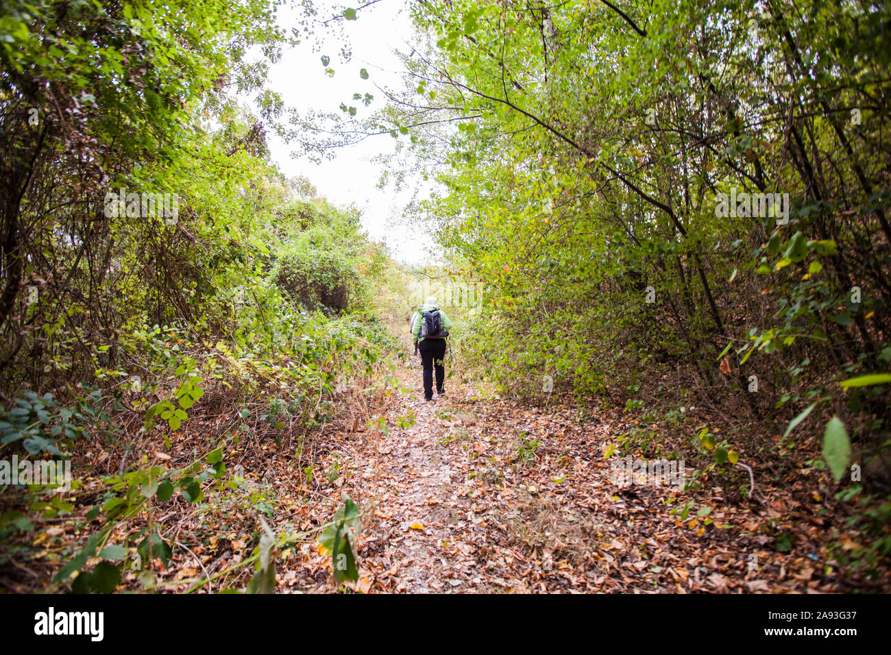 Groupe de gens actifs randonnées sur la journée d'automne pluvieuse vêtu d'un imperméable. Du vrai méconnaissable randonneurs, rétroviseurs, ciel nuageux dans l'arrière-plan. Banque D'Images