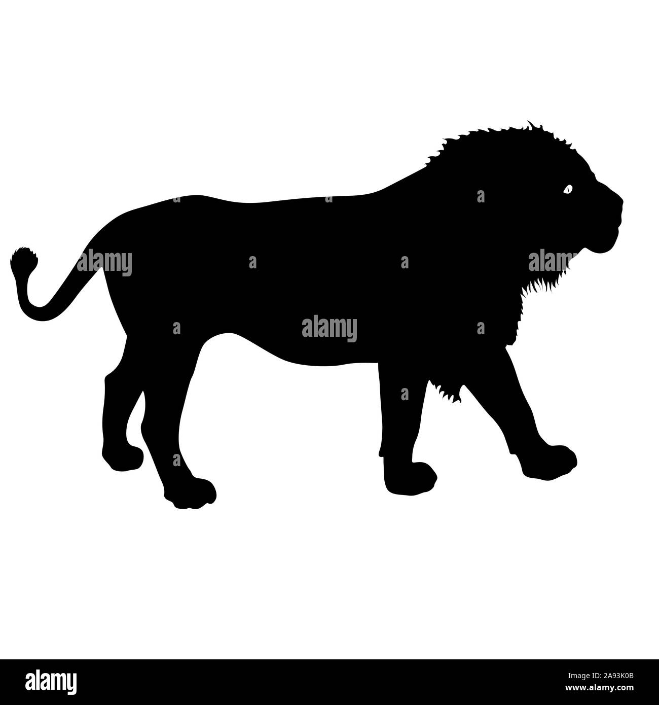 Silhouette du Lion sur un fond blanc. Banque D'Images