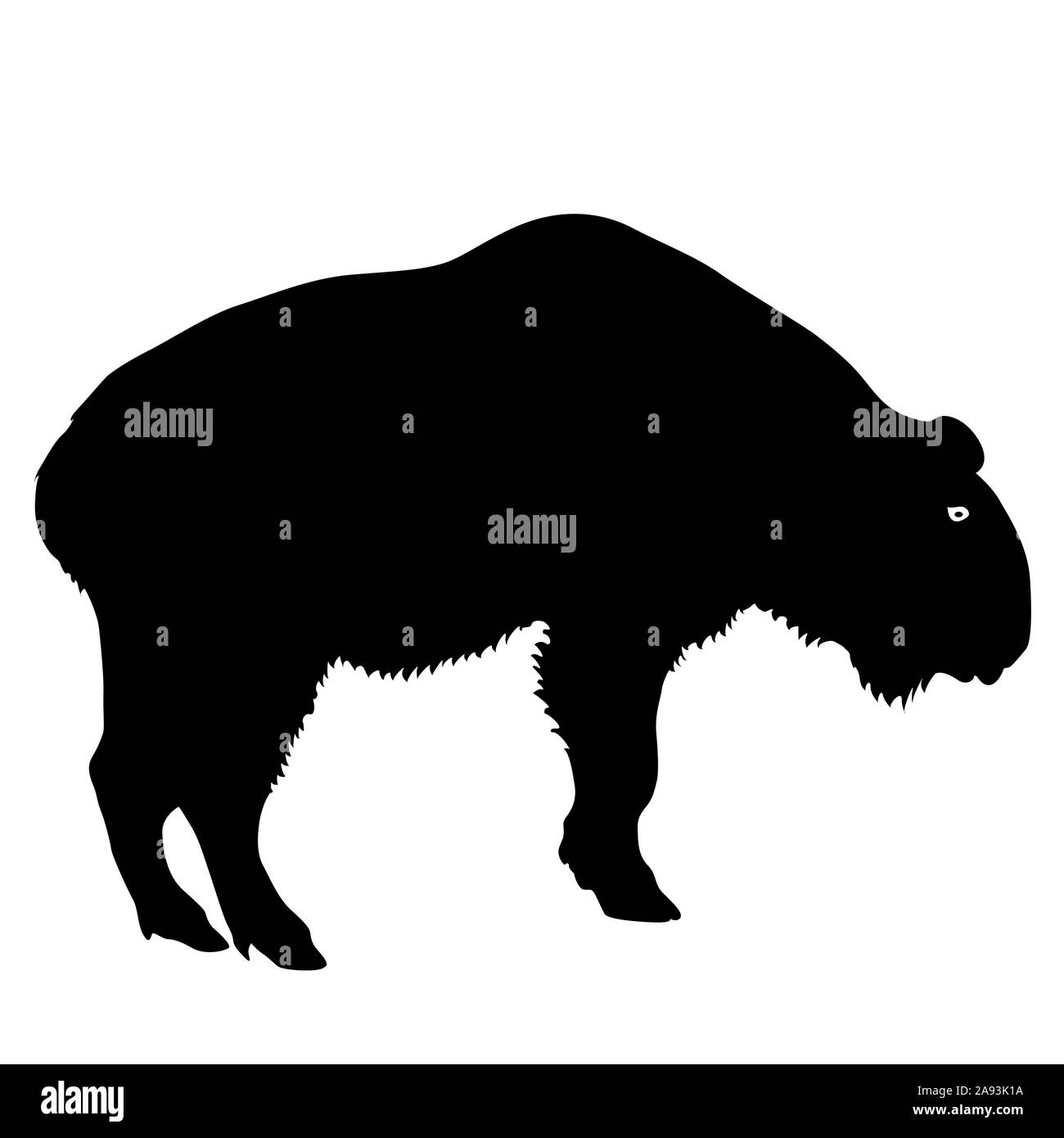Silhouette du bison sur un fond blanc. Banque D'Images