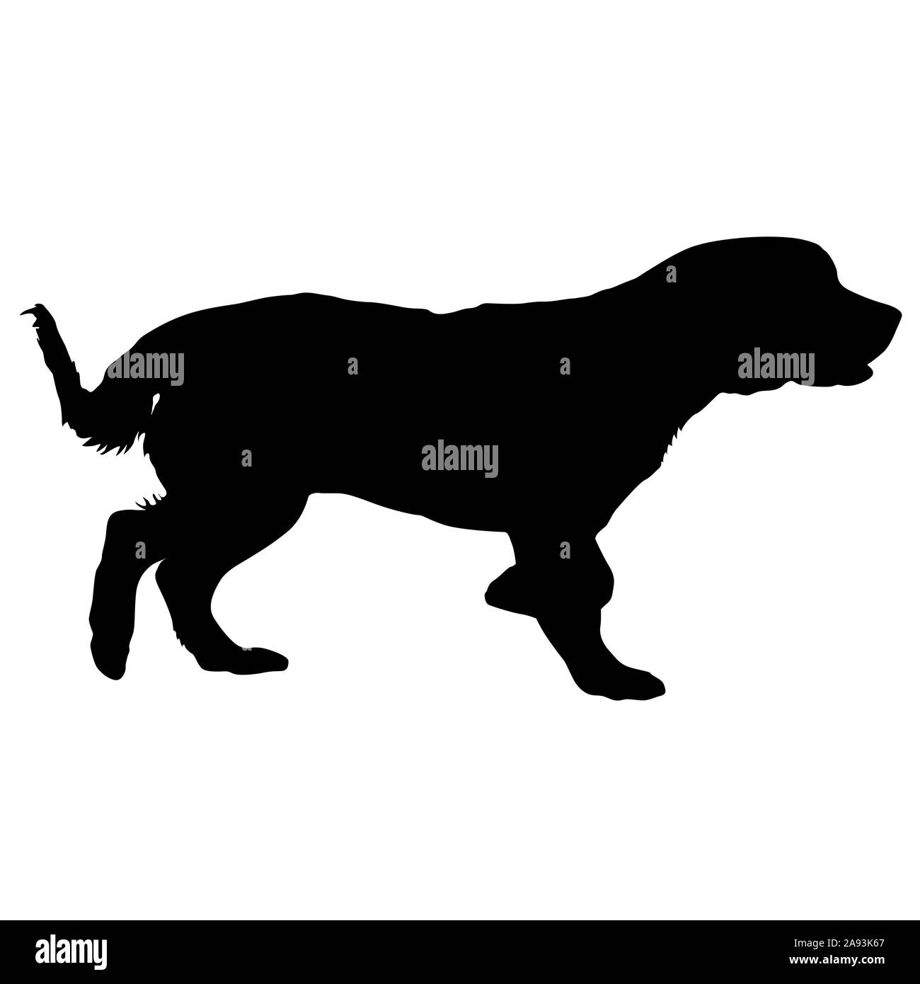 Spaniel chien silhouette sur un fond blanc. Banque D'Images