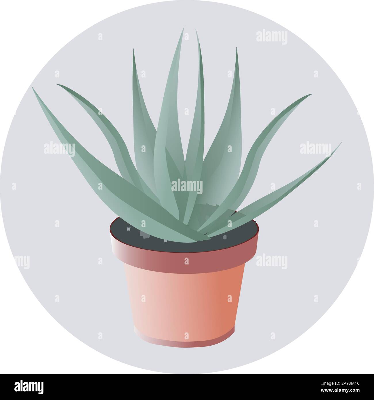 L'Aloe Vera isolé sur blanc photo-réalistes vector Illustration de Vecteur