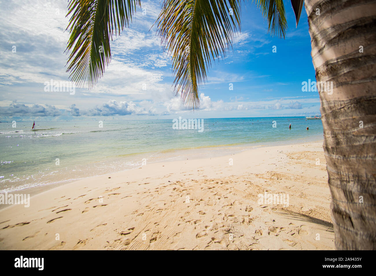 Caribbean Dream - plage parfaite avec sable blanc et eau turquoise à Mer des Caraïbes à Playa del Carmen, Mexique Banque D'Images