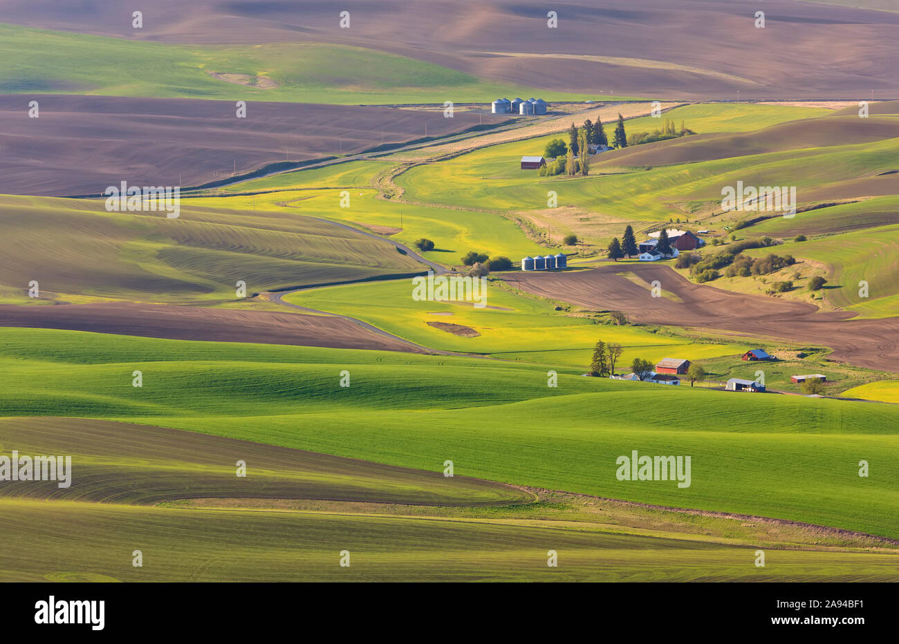 Fermes et terres agricoles autour de Palouse dans l'est de Washington; Washington, États-Unis d'Amérique Banque D'Images
