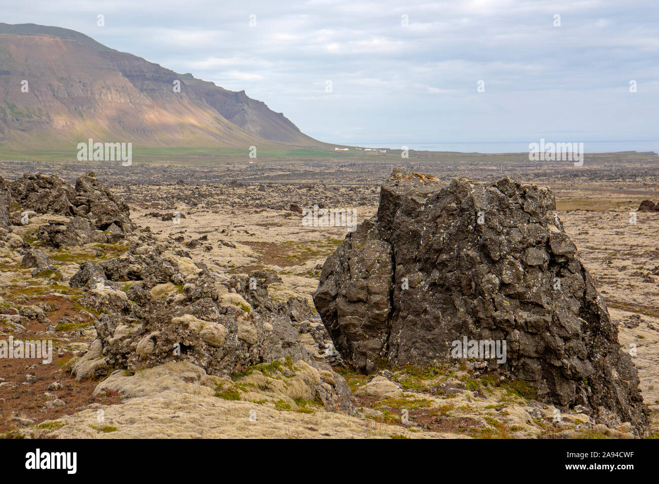 Le champ de lave de Berserker sur Péninsule de Snæfellsnes Banque D'Images