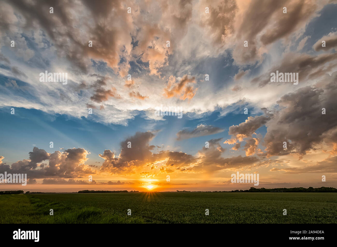 Coucher de soleil et ciel nuageux avec nuages sur les champs de terres agricoles; Saskatchewan, Canada Banque D'Images