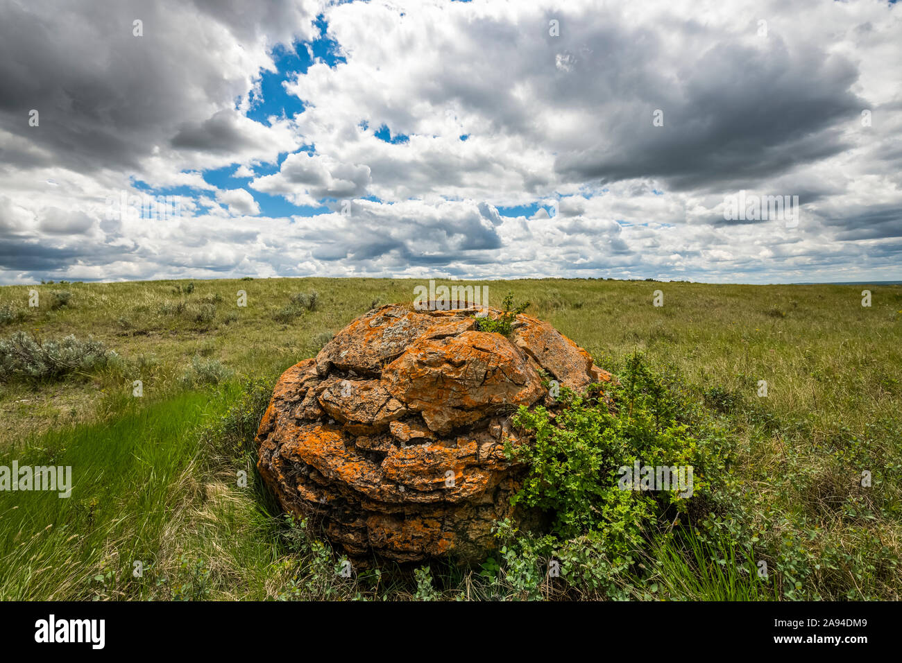 Vaste paysage dans le parc national des Prairies; Val Marie, Saskatchewan, Canada Banque D'Images