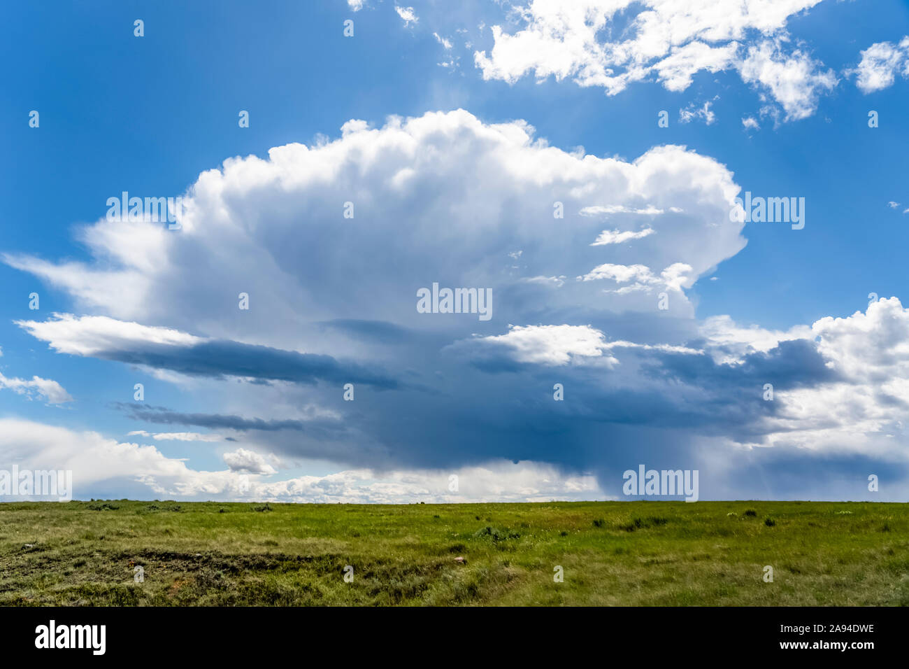 Vastes champs de terres agricoles dans les Prairies, sous un grand ciel avec des formations de nuages et une tempête au loin; Val Marie, Saskatchewan, Canada Banque D'Images
