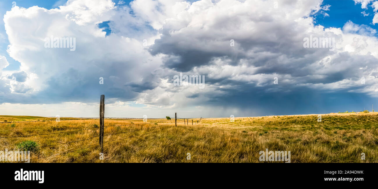 Vastes champs de terres agricoles dans les Prairies, sous un grand ciel avec des nuages et une tempête au loin; Val Marie, Saskatchewan, Canada Banque D'Images