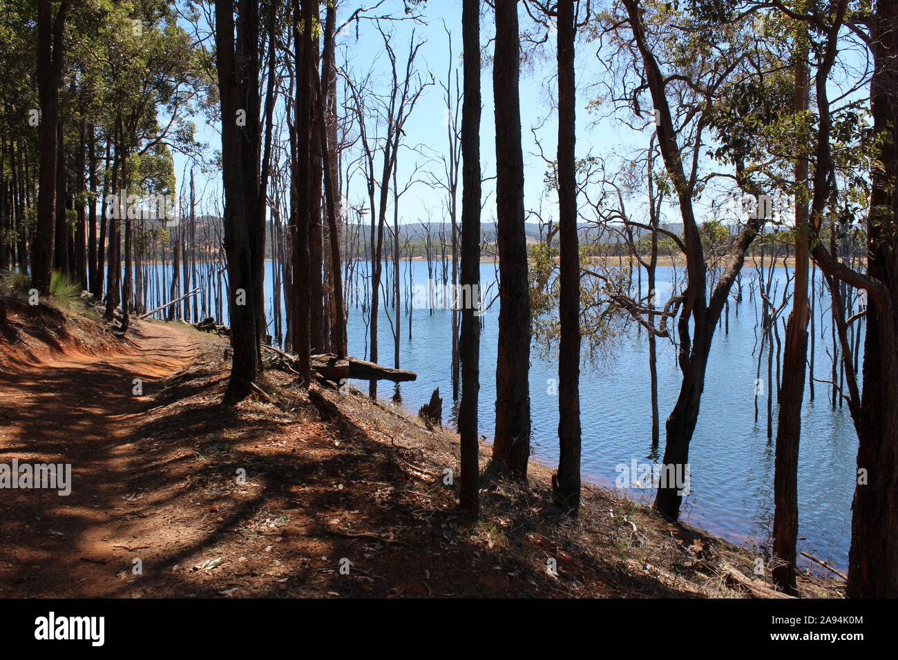 Paysage pittoresque des arbres près de la piste de bois le long du bord du parc national de l'Australie de l'ouest du barrage Harvey attenant sur une chaude journée ensoleillée. Banque D'Images