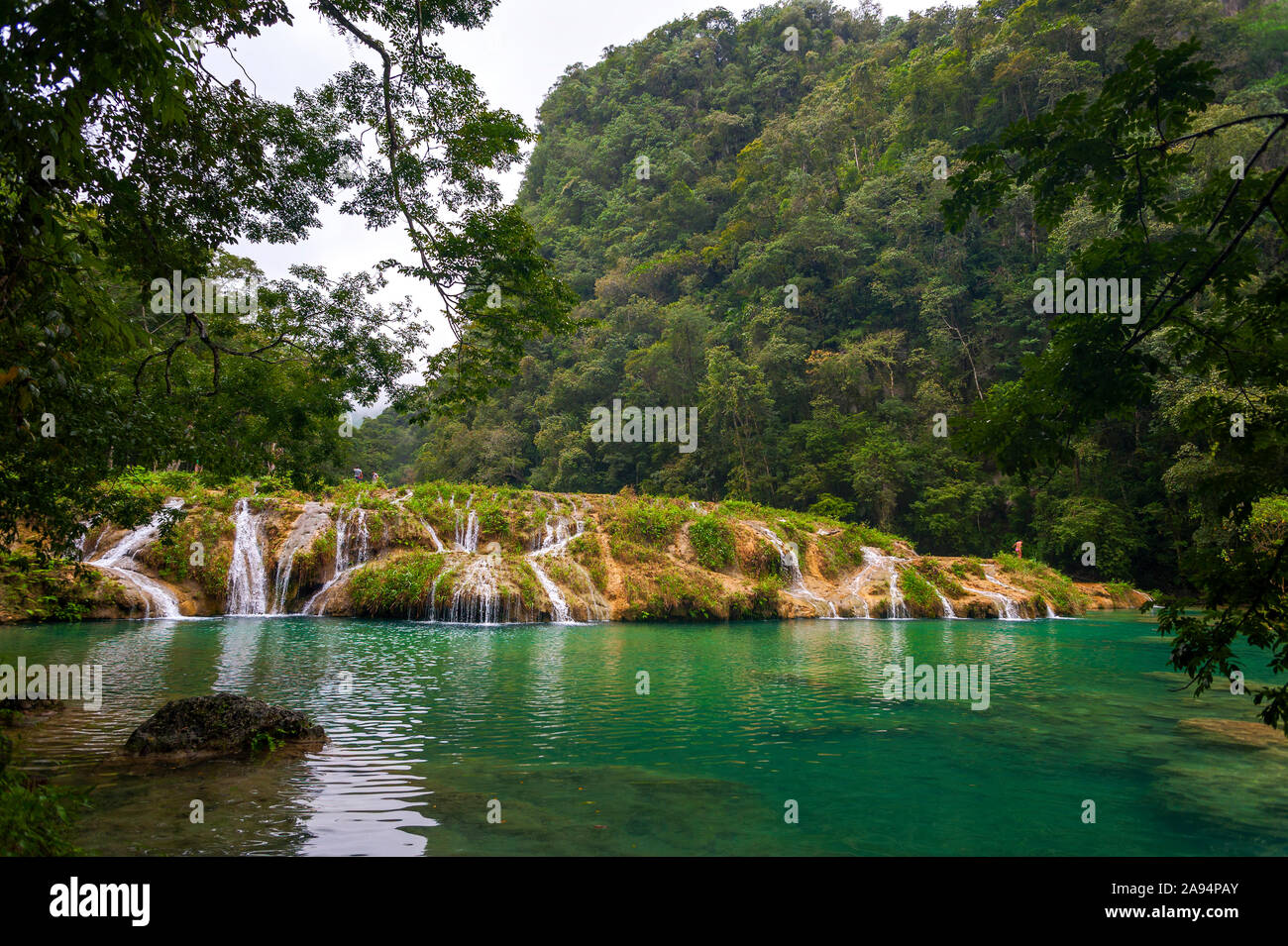 Semuc Champey, Guatemala Banque D'Images