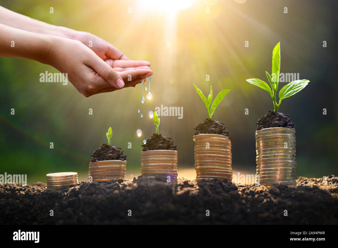 La croissance de l'argent d'économiser de l'argent. Arbre supérieur de pièces illustré notion de croissance de l'entreprise Banque D'Images