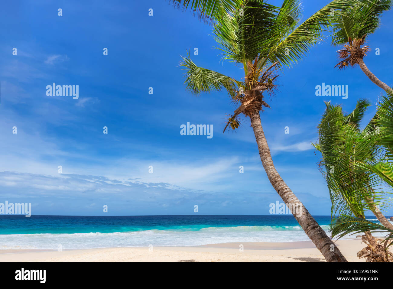 Sunny Beach avec palmiers et mer turquoise. Banque D'Images