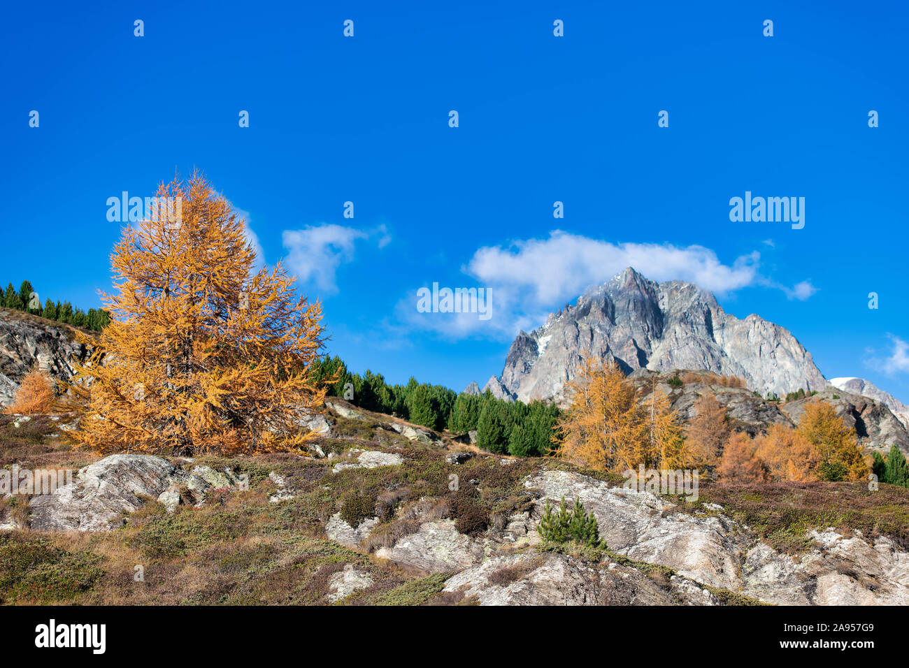 Paysage de montagne d'automne typique sur les Alpes Banque D'Images