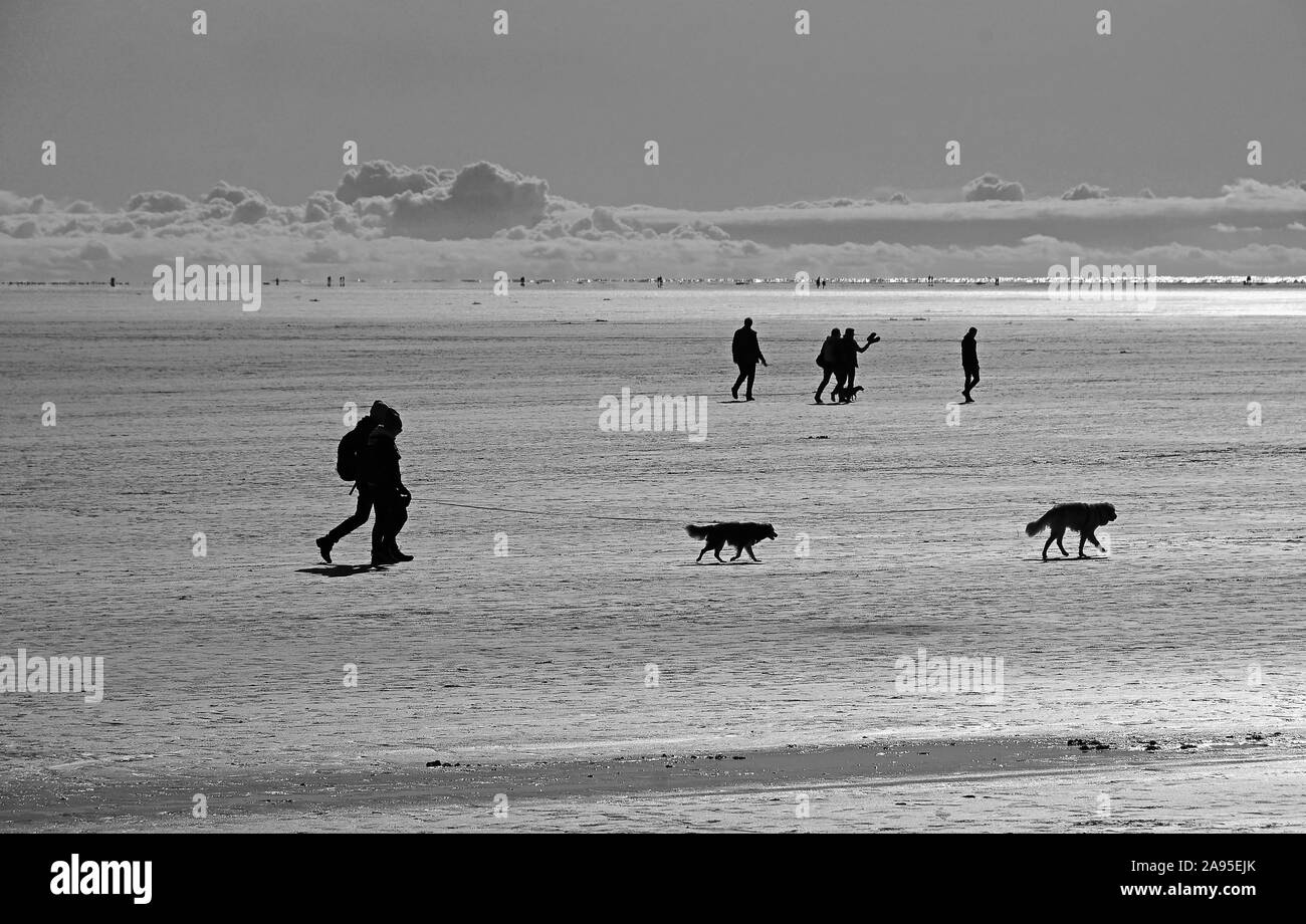 Les gens, des silhouettes dans la mer des Wadden, monochrome, Mer du Nord, à Saint Peter Ording, Schleswig-Holstein, Allemagne Banque D'Images